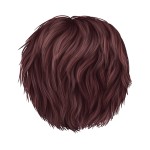 Hair 5